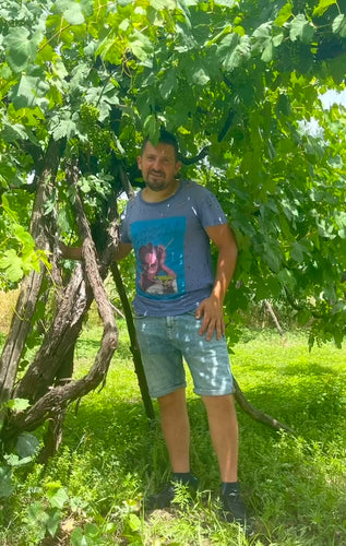 Tenuta Vincenzo Nardone - Campania
